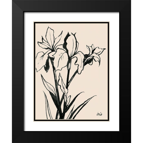 Iris Sketch III Black Modern Wood Framed Art Print with Double Matting by Popp, Grace
