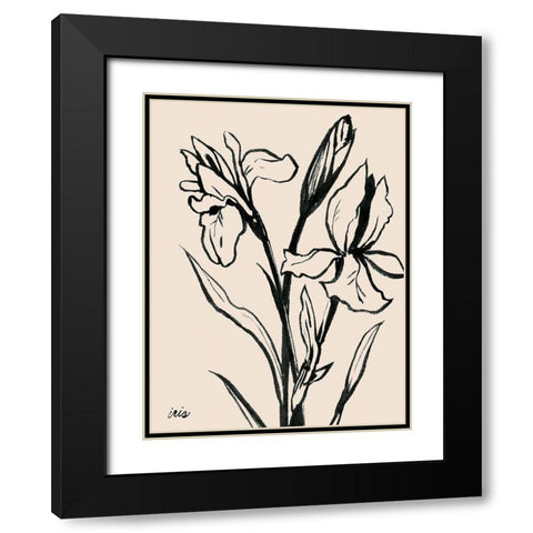 Iris Sketch IV Black Modern Wood Framed Art Print with Double Matting by Popp, Grace
