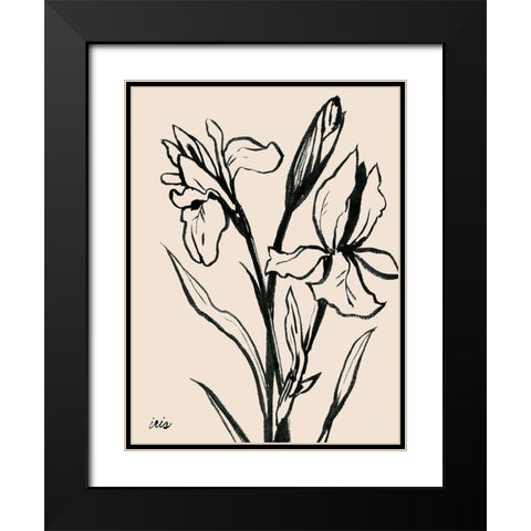 Iris Sketch IV Black Modern Wood Framed Art Print with Double Matting by Popp, Grace