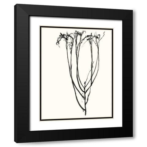 Naive Flower Sketch II Black Modern Wood Framed Art Print with Double Matting by Goldberger, Jennifer