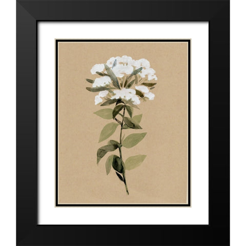 White Wildflower II Black Modern Wood Framed Art Print with Double Matting by Warren, Annie