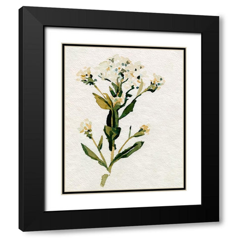White Antique Wildflower II Black Modern Wood Framed Art Print with Double Matting by Caroline, Emma