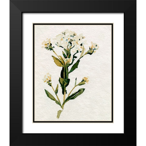 White Antique Wildflower II Black Modern Wood Framed Art Print with Double Matting by Caroline, Emma