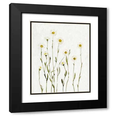 White Antique Daisies I Black Modern Wood Framed Art Print with Double Matting by Caroline, Emma
