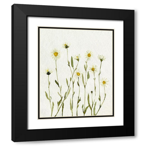 White Antique Daisies II Black Modern Wood Framed Art Print with Double Matting by Caroline, Emma