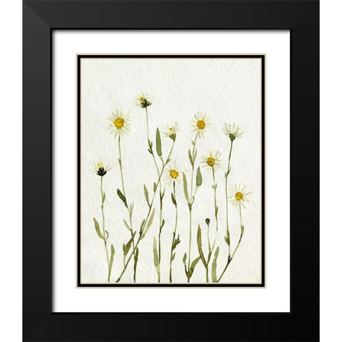 White Antique Daisies II Black Modern Wood Framed Art Print with Double Matting by Caroline, Emma