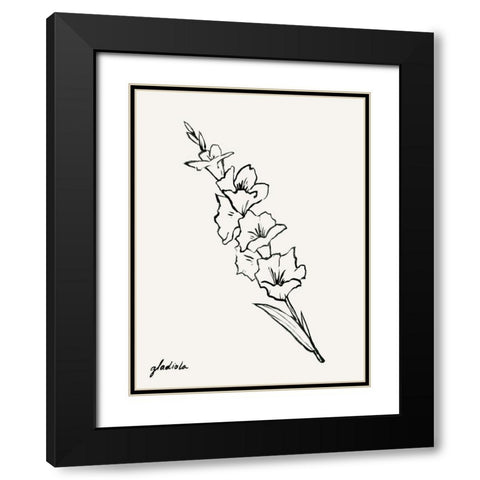 Gladiola Sketch I Black Modern Wood Framed Art Print with Double Matting by Popp, Grace