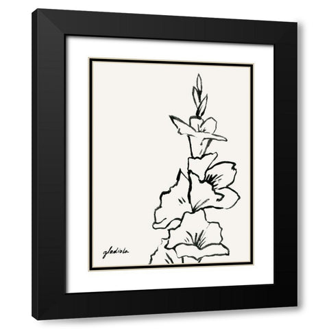 Gladiola Sketch IV Black Modern Wood Framed Art Print with Double Matting by Popp, Grace