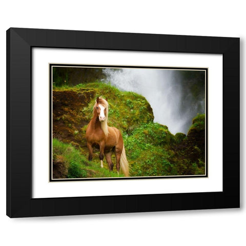 Collection of Horses I Black Modern Wood Framed Art Print with Double Matting by PHBurchett