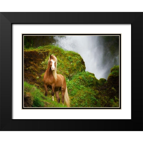 Collection of Horses I Black Modern Wood Framed Art Print with Double Matting by PHBurchett