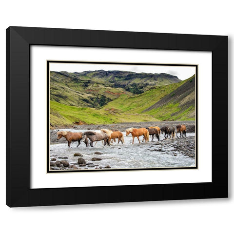 Collection of Horses II Black Modern Wood Framed Art Print with Double Matting by PHBurchett