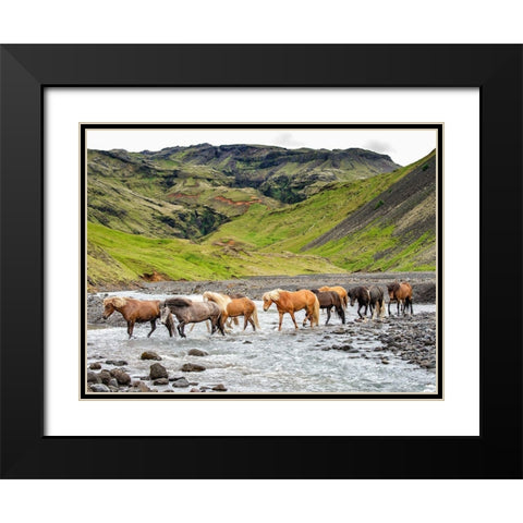 Collection of Horses II Black Modern Wood Framed Art Print with Double Matting by PHBurchett