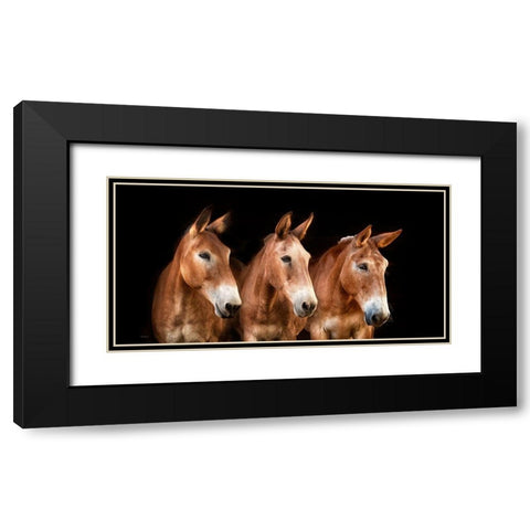 Collection of Horses IV Black Modern Wood Framed Art Print with Double Matting by PHBurchett
