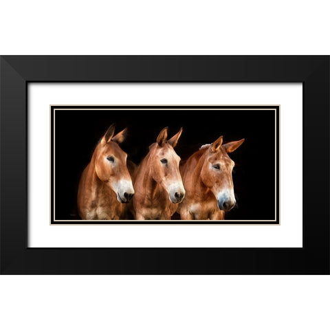 Collection of Horses IV Black Modern Wood Framed Art Print with Double Matting by PHBurchett