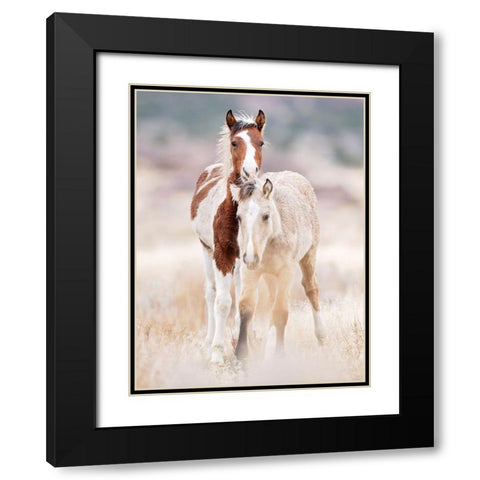Collection of Horses X Black Modern Wood Framed Art Print with Double Matting by PHBurchett