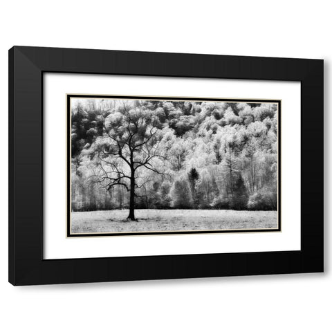 Water and Land VI Black Modern Wood Framed Art Print with Double Matting by PHBurchett