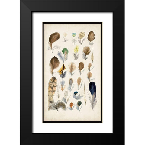 Antique Bird Feathers II Black Modern Wood Framed Art Print with Double Matting by Unknown