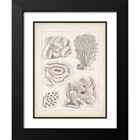 Antique White Coral I Black Modern Wood Framed Art Print with Double Matting by Vision Studio