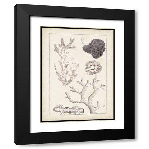 Antique White Coral II Black Modern Wood Framed Art Print with Double Matting by Vision Studio