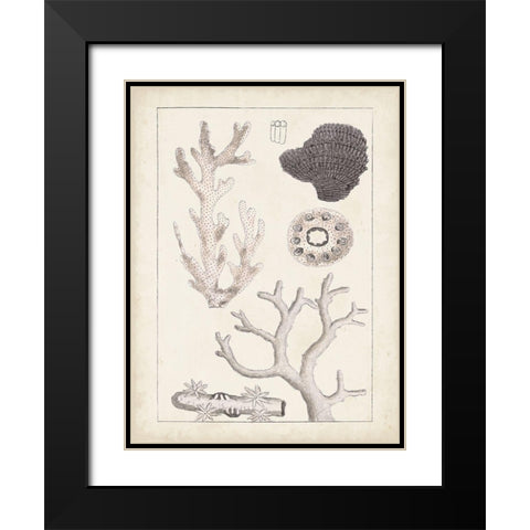 Antique White Coral II Black Modern Wood Framed Art Print with Double Matting by Vision Studio