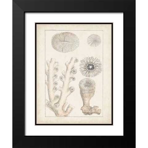 Antique White Coral III Black Modern Wood Framed Art Print with Double Matting by Vision Studio