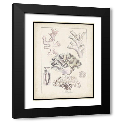 Antique White Coral IV Black Modern Wood Framed Art Print with Double Matting by Vision Studio