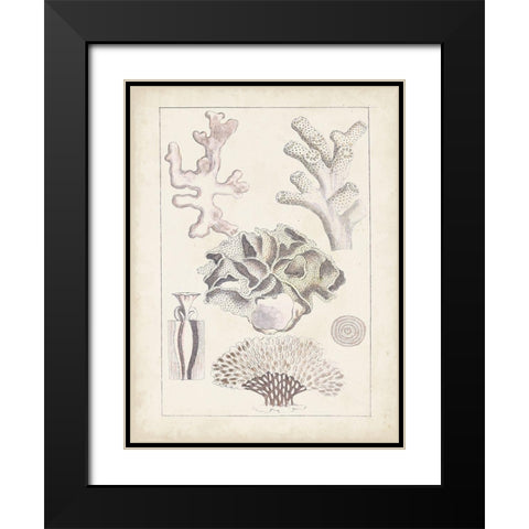 Antique White Coral IV Black Modern Wood Framed Art Print with Double Matting by Vision Studio