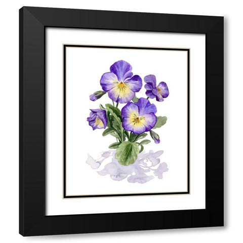 Viola Pansies I Black Modern Wood Framed Art Print with Double Matting by Popp, Grace