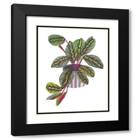 Prayer Plant II Black Modern Wood Framed Art Print with Double Matting by Wang, Melissa