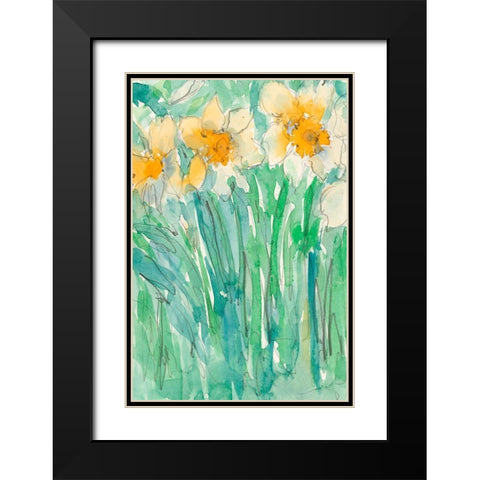 Daffodils Stems I Black Modern Wood Framed Art Print with Double Matting by Dixon, Samuel