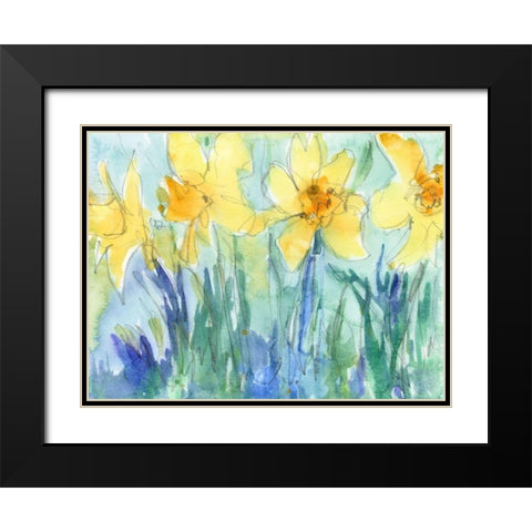 Daffodil Blooms II Black Modern Wood Framed Art Print with Double Matting by Dixon, Samuel