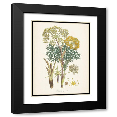 Saffron Botanicals I Black Modern Wood Framed Art Print with Double Matting by Unknown