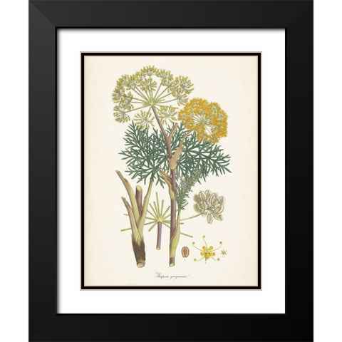 Saffron Botanicals I Black Modern Wood Framed Art Print with Double Matting by Unknown