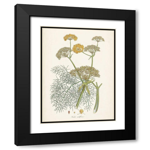 Saffron Botanicals II Black Modern Wood Framed Art Print with Double Matting by Unknown