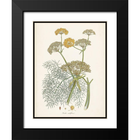 Saffron Botanicals II Black Modern Wood Framed Art Print with Double Matting by Unknown