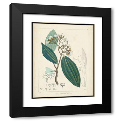 Vintage Verdure I Black Modern Wood Framed Art Print with Double Matting by Unknown