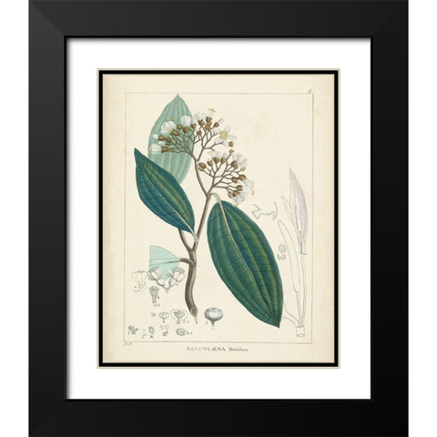 Vintage Verdure I Black Modern Wood Framed Art Print with Double Matting by Unknown