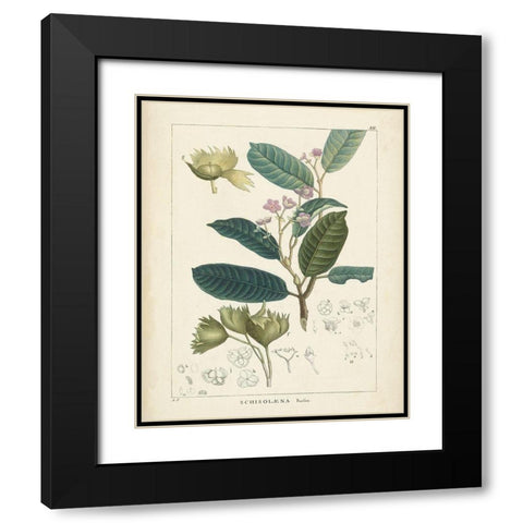 Vintage Verdure II Black Modern Wood Framed Art Print with Double Matting by Unknown