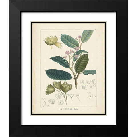Vintage Verdure II Black Modern Wood Framed Art Print with Double Matting by Unknown