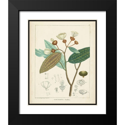 Vintage Verdure III Black Modern Wood Framed Art Print with Double Matting by Unknown