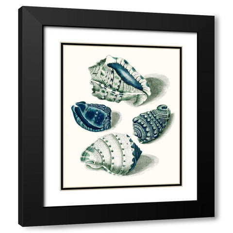 Celadon Shells I Black Modern Wood Framed Art Print with Double Matting by Vision Studio