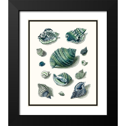 Celadon Shells II Black Modern Wood Framed Art Print with Double Matting by Vision Studio