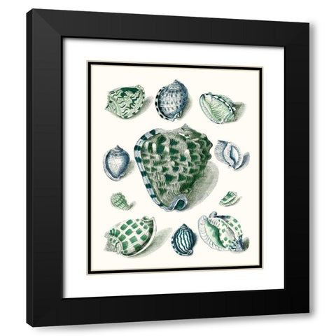 Celadon Shells III Black Modern Wood Framed Art Print with Double Matting by Vision Studio