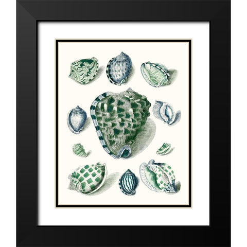 Celadon Shells III Black Modern Wood Framed Art Print with Double Matting by Vision Studio