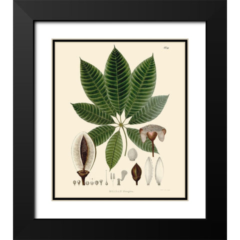 Luscious Leaves IV Black Modern Wood Framed Art Print with Double Matting by Unknown
