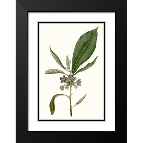 Soft Blue Botanicals II Black Modern Wood Framed Art Print with Double Matting by Curtis