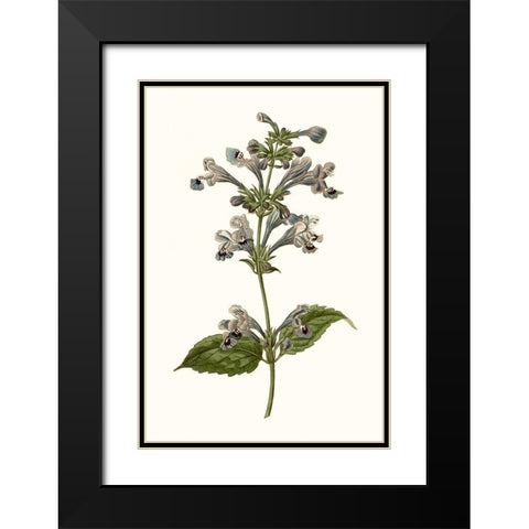 Soft Blue Botanicals III Black Modern Wood Framed Art Print with Double Matting by Curtis