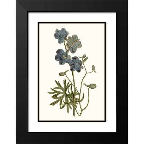 Soft Blue Botanicals V Black Modern Wood Framed Art Print with Double Matting by Curtis