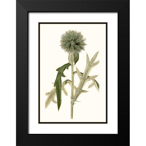 Soft Blue Botanicals VI Black Modern Wood Framed Art Print with Double Matting by Curtis