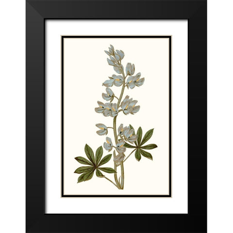 Soft Blue Botanicals VIII Black Modern Wood Framed Art Print with Double Matting by Curtis